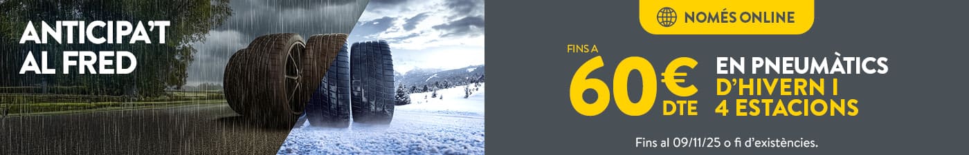Fins a 60€ de descompte en pneumàtics d'hivern i 4 estacions