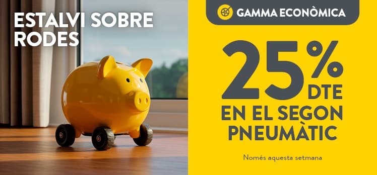 25% dte en la segona unitat de pneumàtics econòmics