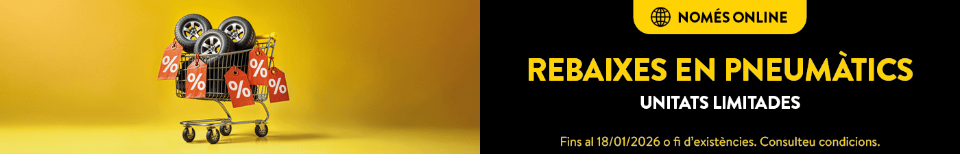 Rebaixes online de gener en pneumàtics a Rodi Andorra